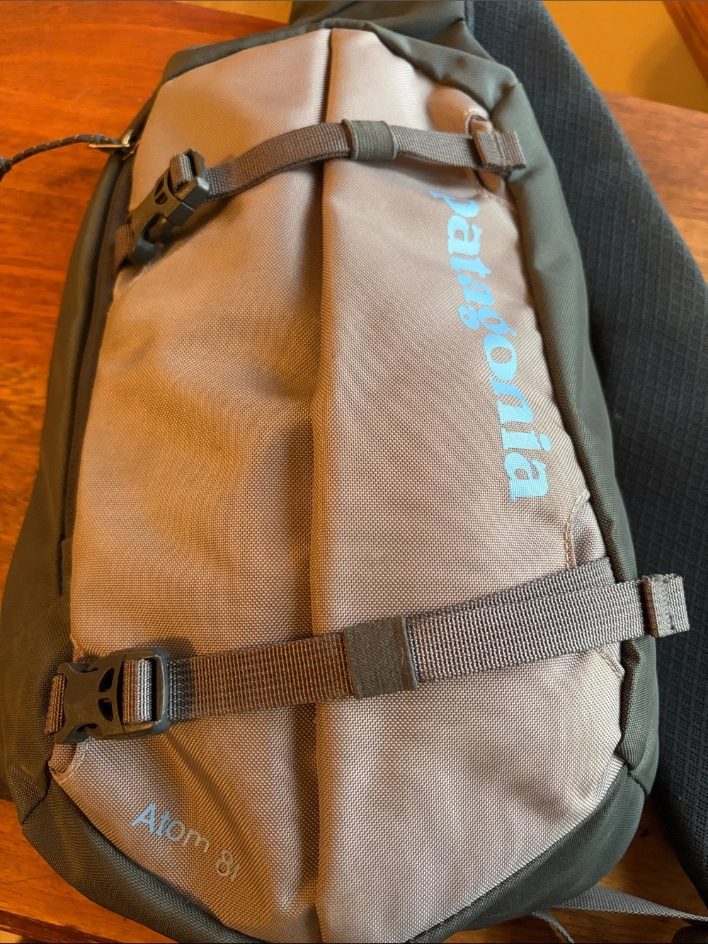 Patagonia compact sling